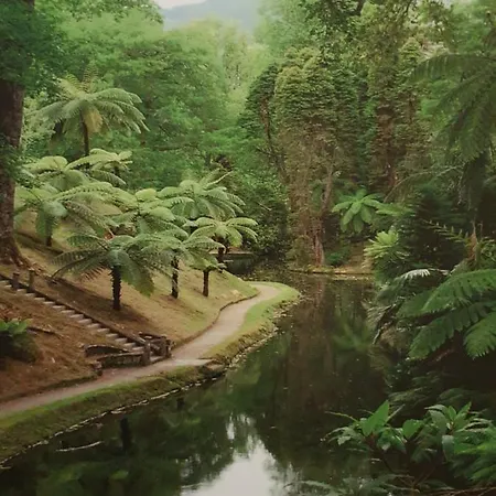 Aptº T2 Duplex - S. Pedro Iii Ponta Delgada (Sao Miguel)