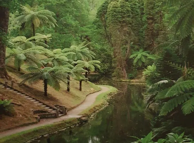 Aptº T2 Duplex - S. Pedro Iii ポンタ・デルガダ