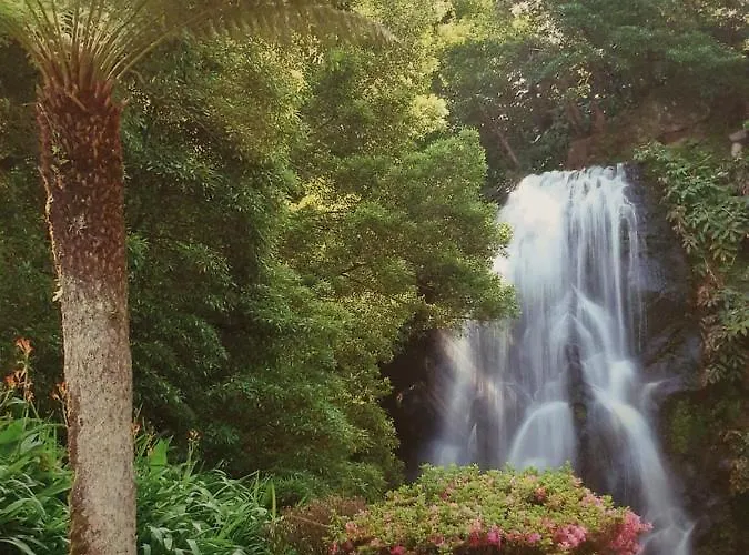 Aptº T2 Duplex - S. Pedro Iii Daire