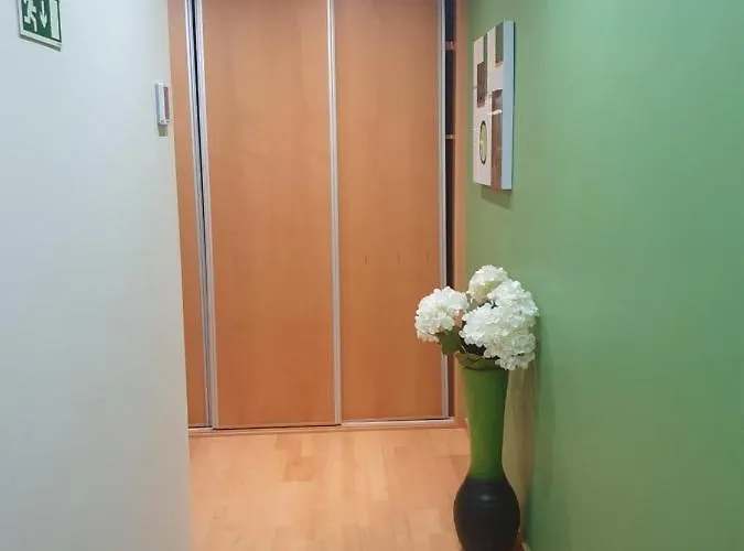 Aptº T2 Duplex - S. Pedro Iii ポンタ・デルガダ